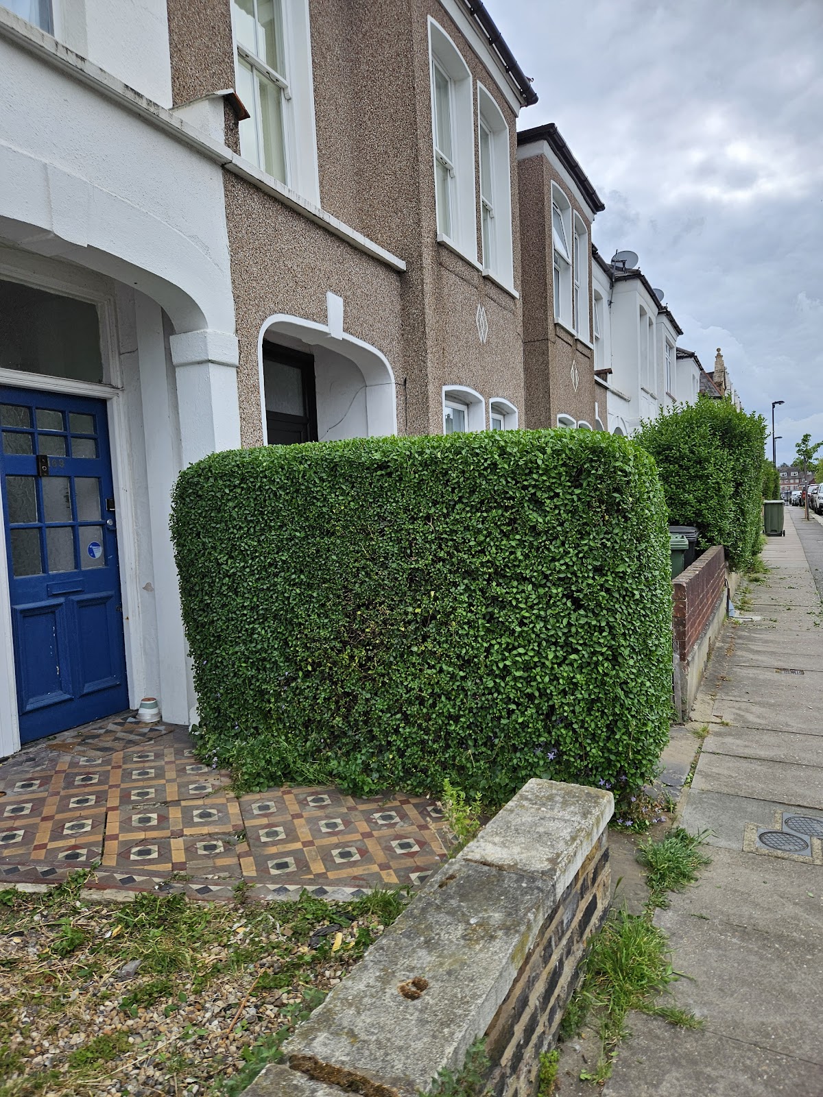 Front-garden hedge trimmed crisp along a Dartford terrace
